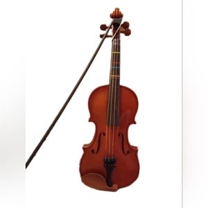 Violin and carrying case with protective cover